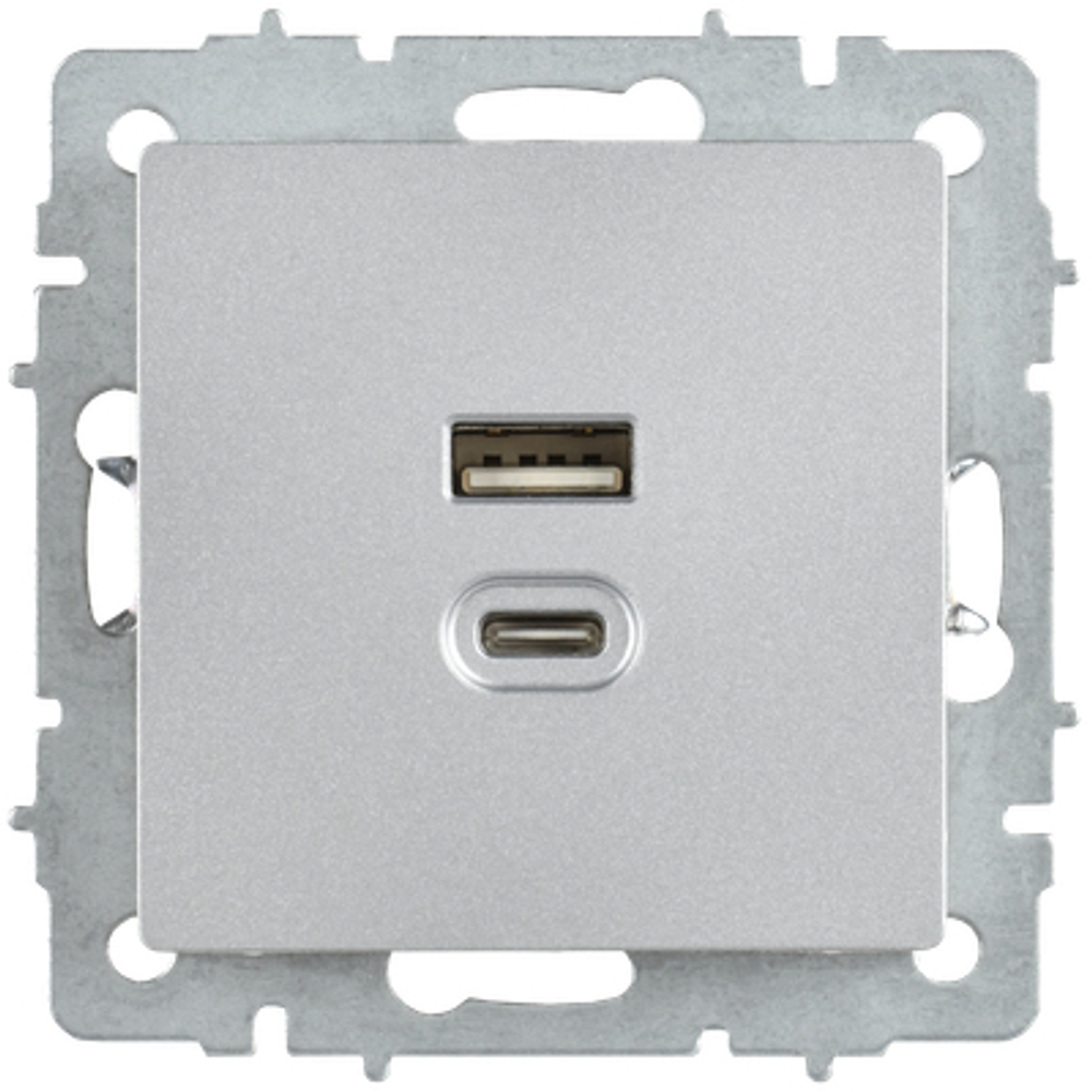 BRITE Розетка USB A+C 45Вт высокоскоростная зарядка РЮ11-2-БрА алюминий IEK