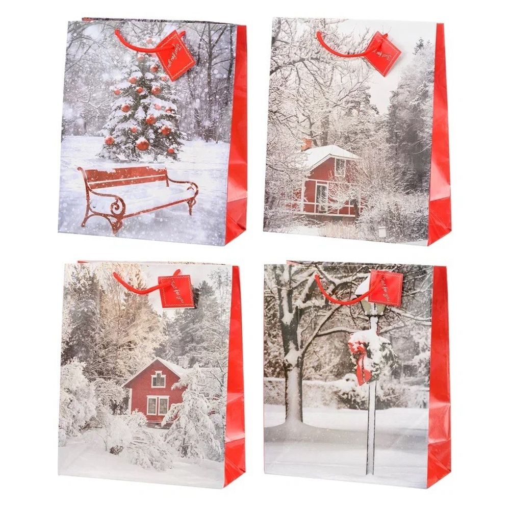 Подарочный пакет Basir, серия &quot;Зима&quot;, бумажный, цветной с рисунком ассорти, размер 18*23*9 см