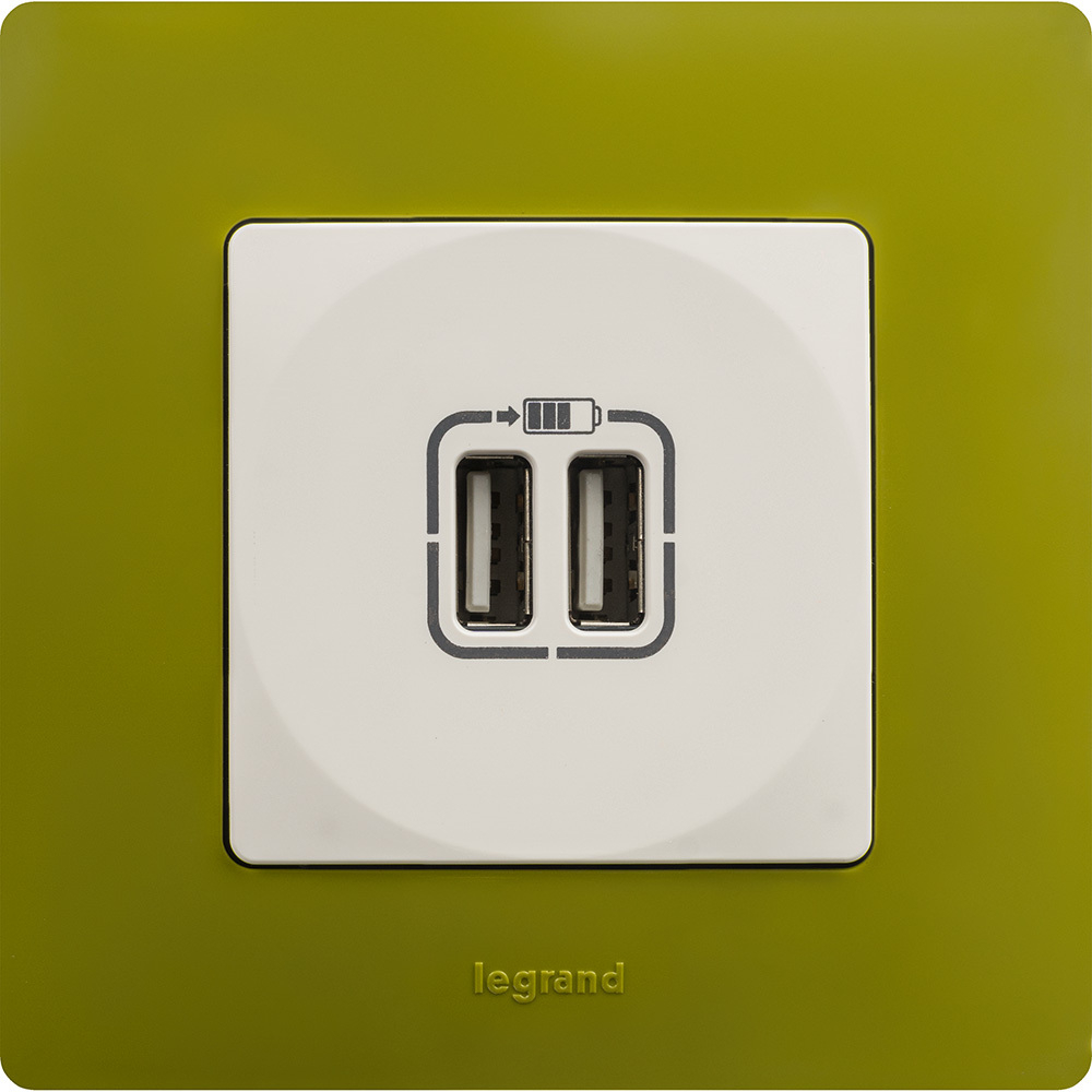 Розетка USB тип А / тип А 3000мА 15Вт - белый ETIKA Legrand