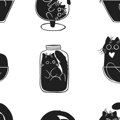 Коты шкодники