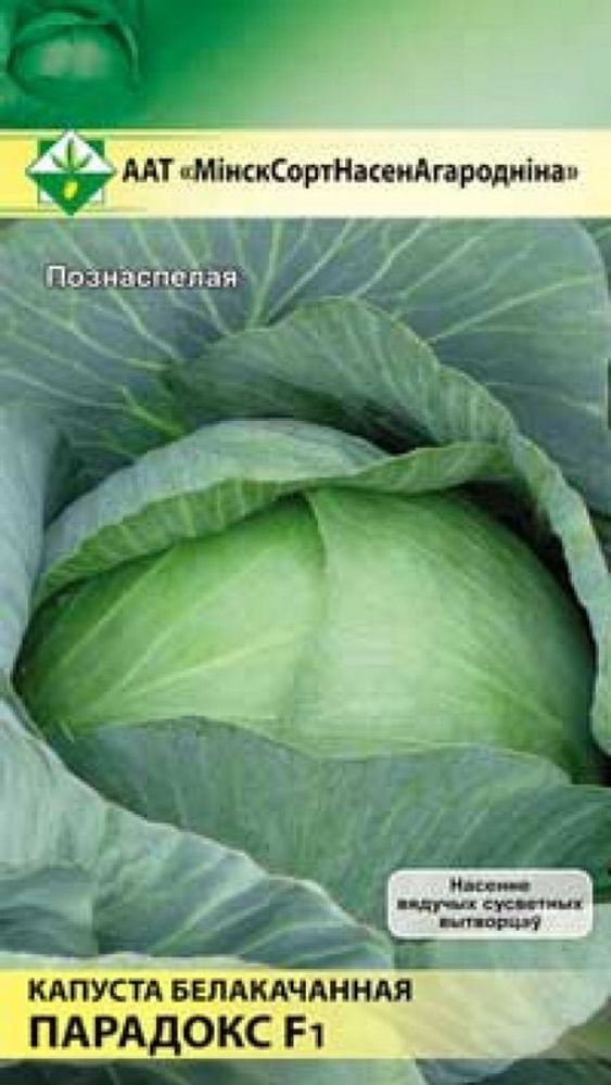 Капуста б/к &quot;Парадокс F1&quot; 12шт, Нидерланды.
