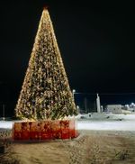 Ограждение для Ствольной уличной искусственной елки