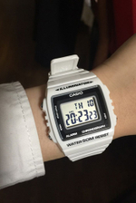 Мужские наручные часы Casio Collection W-215H-7A