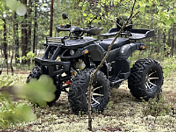 Квадроцикл PROMAX 320 DOMINATOR (2025)