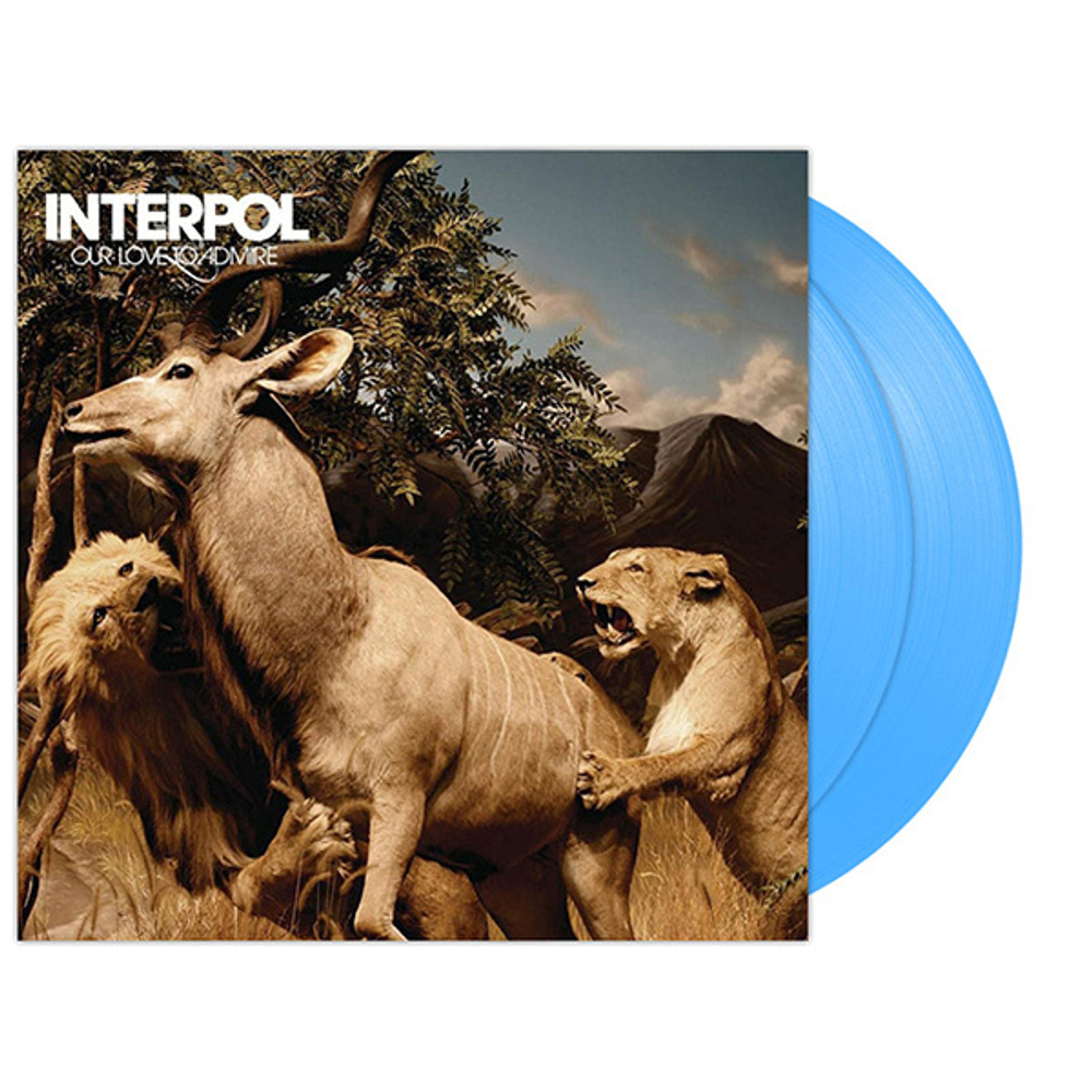 Interpol / Our Love To Admire (Coloured Vinyl)(2LP)