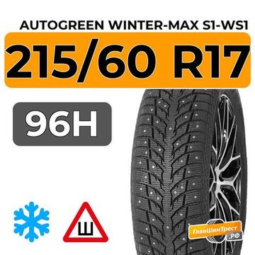Autogreen Winter-Max S1-WS1 215/60 R17 96H шип.