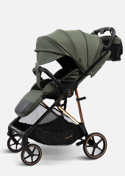 Peppy Коляска прогулочная Amici (Green) рама Black