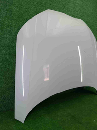 IMG_20260623_094853.JPG