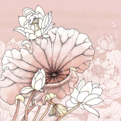 Коллекция Grafika Natura