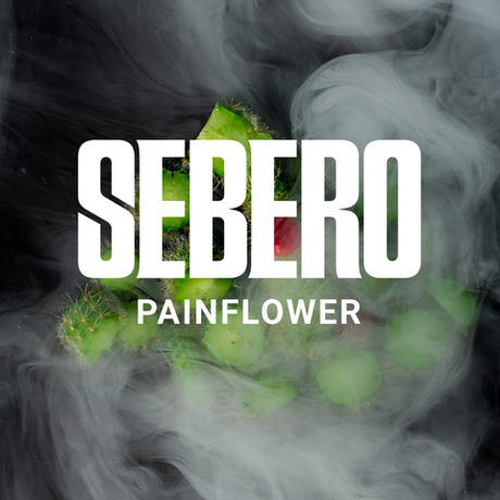 Табак Sebero Painflower (Кактус) 40г