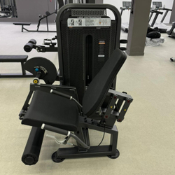 U3002D (E5002) Разгибание ног сидя. Стек 109 кг