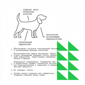 Сухой полнорационный корм AJO Dog Mini Hypoallergenic с гречкой для взрослых собак миниатюрных и малых пород, склонных к аллергиям