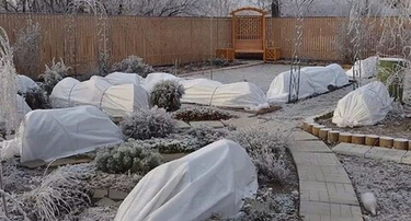 Как подготовить сад к сибирской зиме: полное руководство