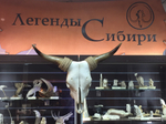 Череп быка. настенный, сувенирный, натуральный.