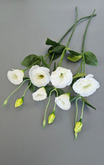 Эустома / Арт 2329