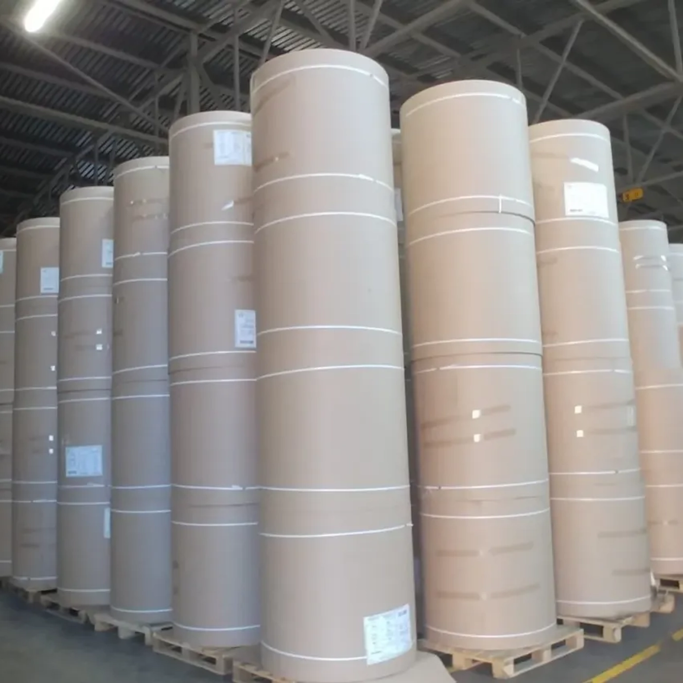 Балахнинская картонная фабрика