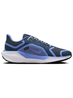 Кроссовки Nike Air Zoom Pegasus 41 Gore-Tex Cobalt