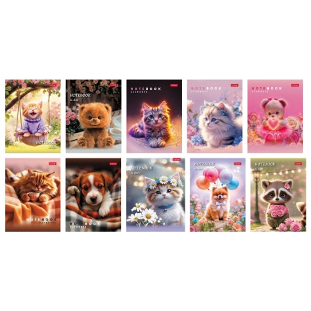 2d355e6b6d07f6f43e9d900ffc9f58c0