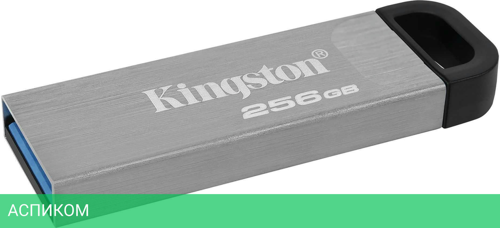 USB Flash-накопитель Kingston DataTraveler Kyson 256GB металл серебристый (DTKN/256GB)