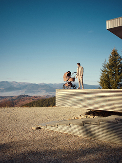 Детская коляска Anex l/type 3 в 1 Hazel