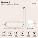 Светильник на штанге Maytoni Erich MOD221PL-03N