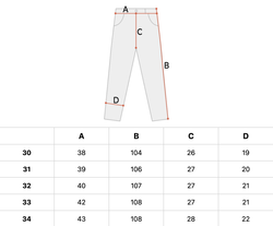 Брюки мужские Krakatau Panstarrs