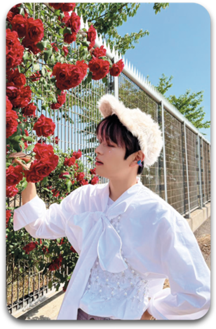 Карта / STRAY KIDS #1167