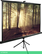 Проекционный экран Cactus TriExpert (CS-PSTE-180x135-BK)
