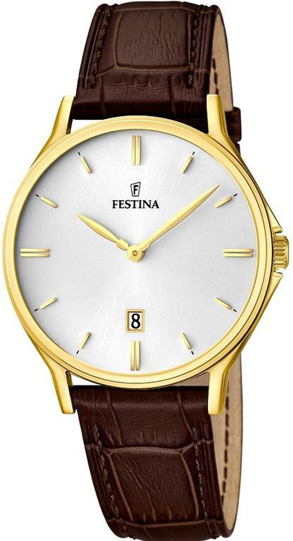 Мужские наручные часы Festina F16747/1