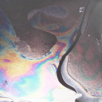 The XX / Coexist (LP+CD)