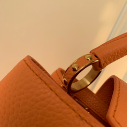 Louis Vuitton Capucines Mini