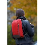 Рюкзак DANNY Красный