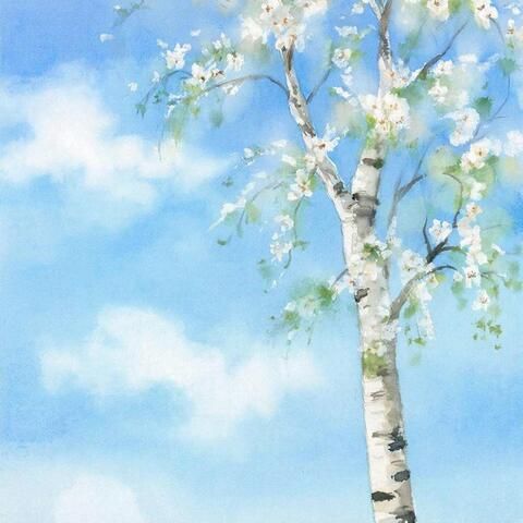 Отдушка Береза 10гр