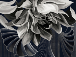 Коллекция SOLO 22