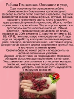 Рябина Гранатная вкусная