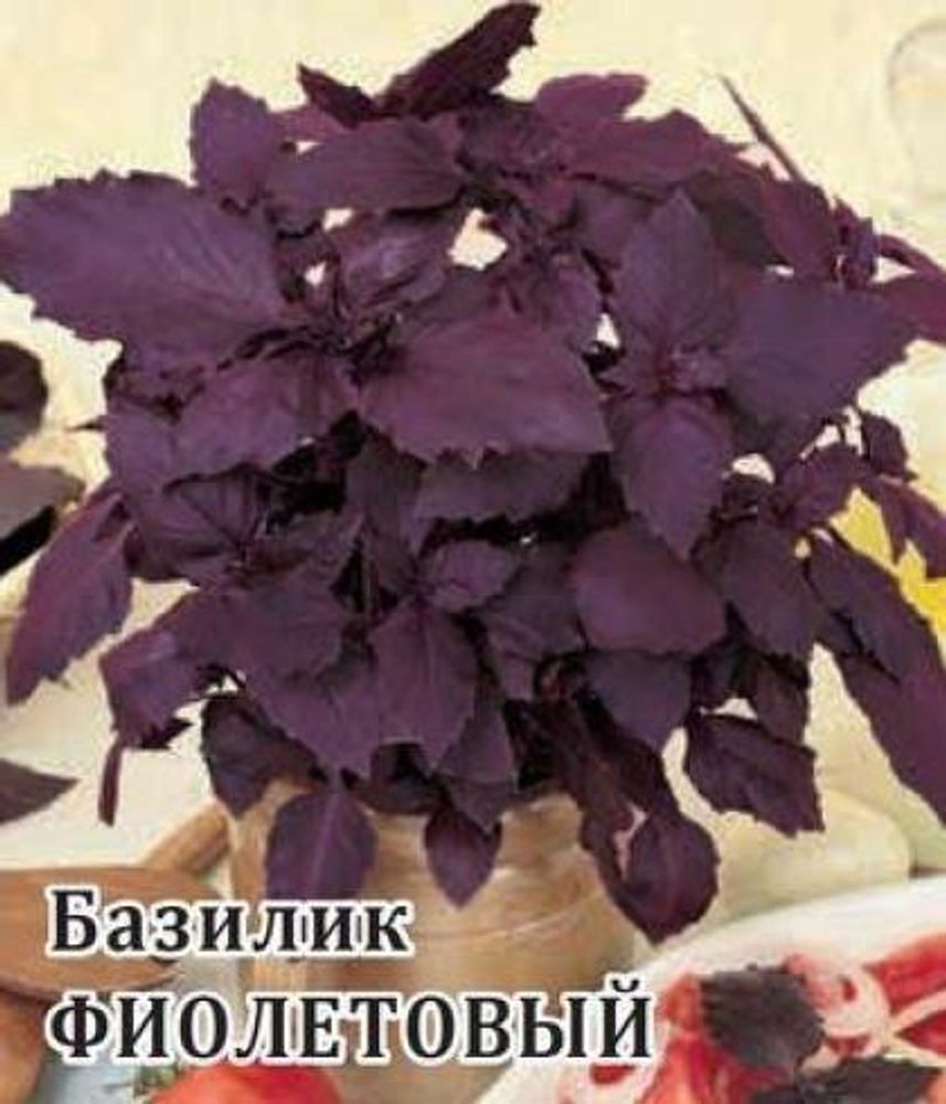 Базилик Фиолетовый 10 гр / Гавриш
