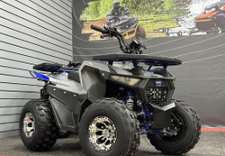 Квадроцикл GBM Daxter 220 Premium