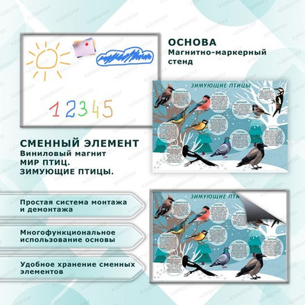 Комплект развивающий МИР ПТИЦ. ЗИМУЮЩИЕ ПТИЦЫ. 2157