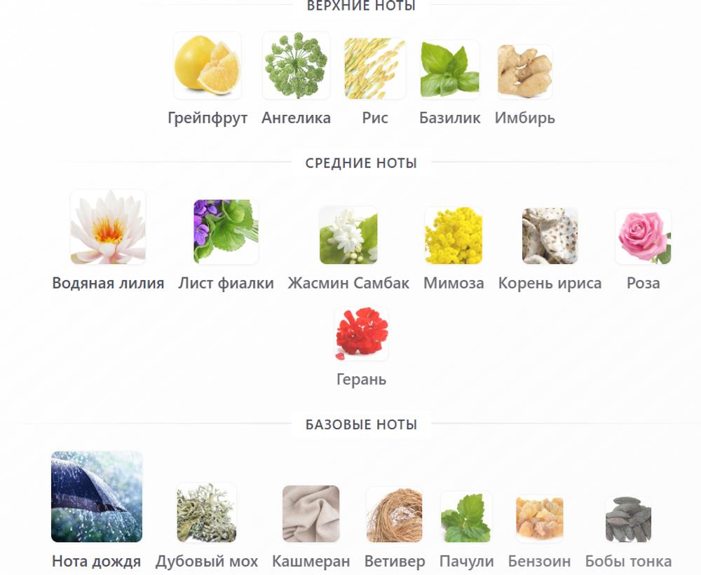 Zoologist Dragonfly
