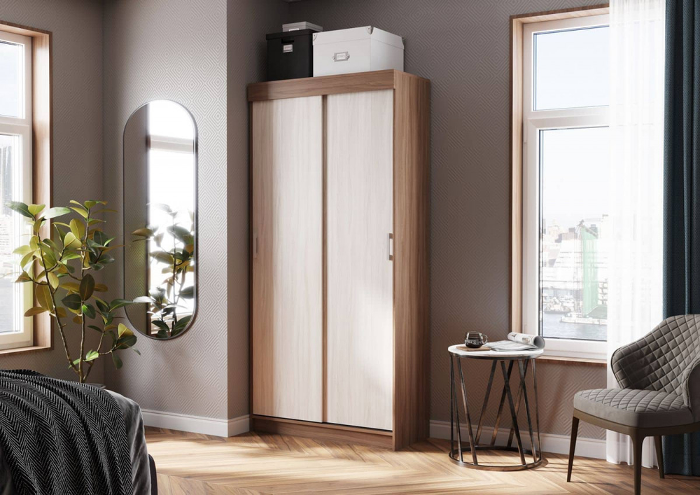 Евро Шкаф-купе 1.0 м Ясень шимо темный / Ясень шимо светлый