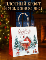 Подарочный пакет 22*22*11см