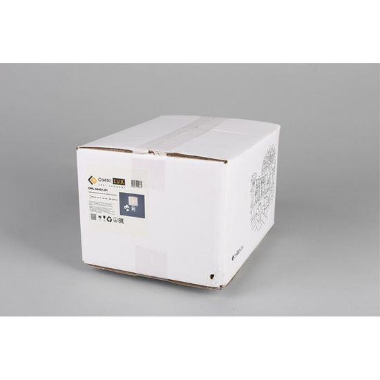 Светильник настенный (Бра) OML-66401-01