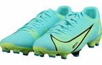 Кроссовки Nike Mercurial Vapor 14