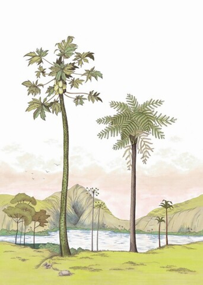 Обои виниловые на флизелине Casadeco Cuba арт. 8437 74 54 CBBA