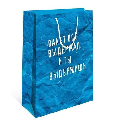 Пакет подарочный "Ты выдержишь"  26*12*32 см