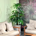 5.23. Искусственные растения в кашпо для мебельного салона.