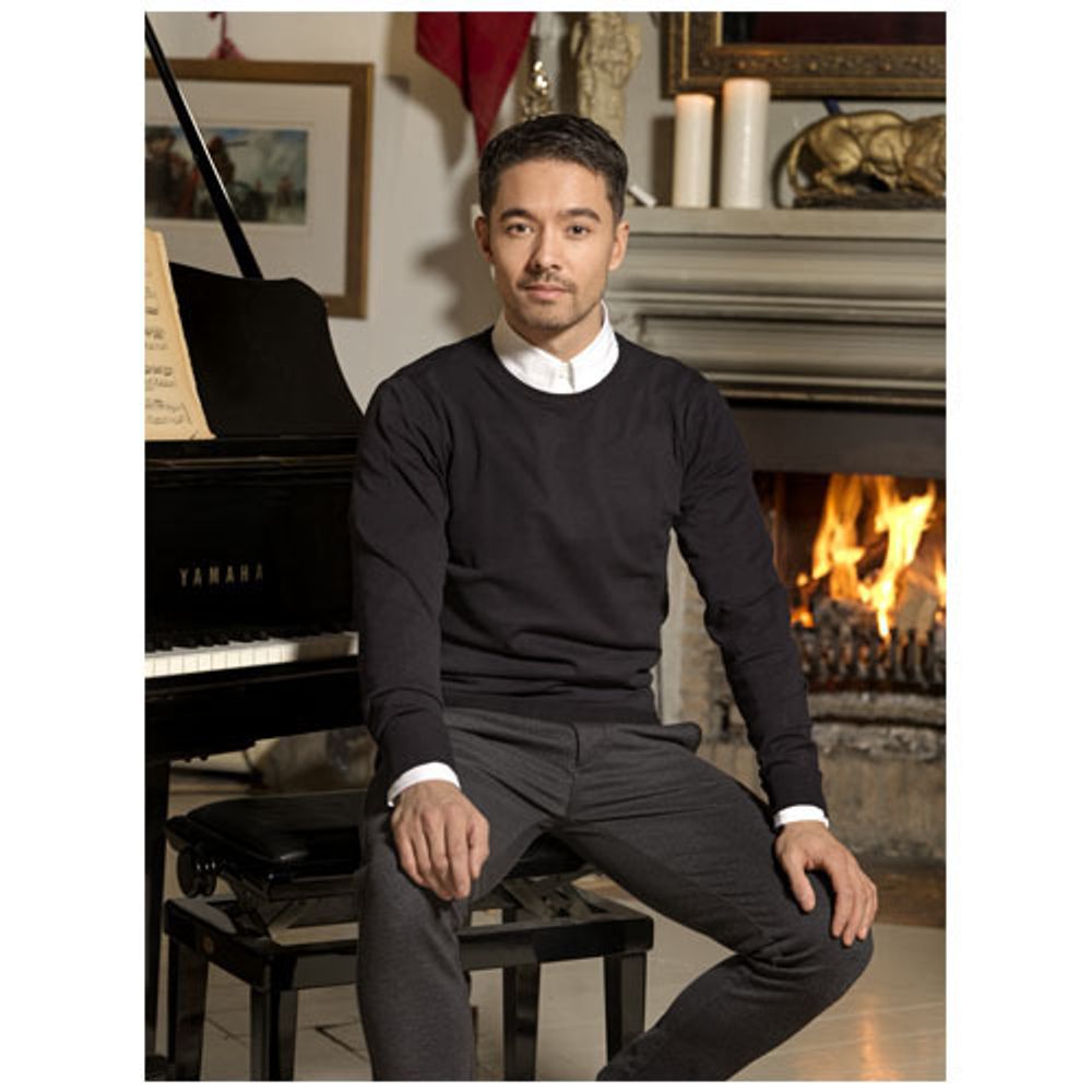 Мужской пуловер Merrit с круглым вырезом