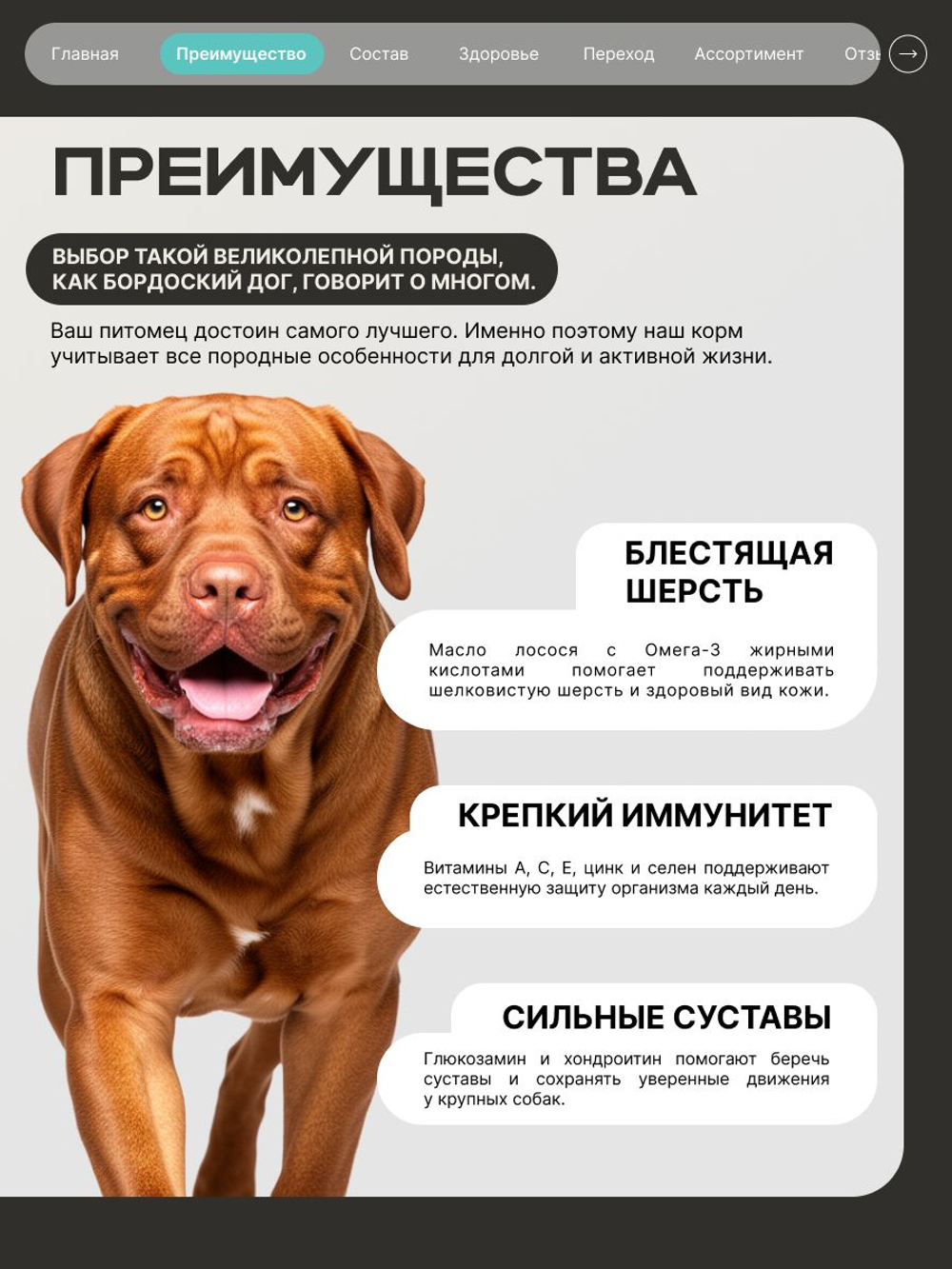 Корм для взрослых собак породы Бордоский дог, с кроликом, 3 кг, QUATTRO