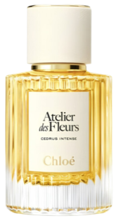 Chloé Cedrus Intense EDP