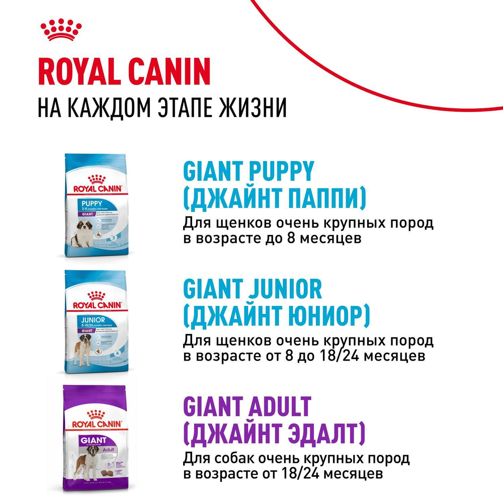 Royal Canin Giant Starter Корм для щенков гигантских пород до 2-х месяцев беременных и кормящих собак 4 кг